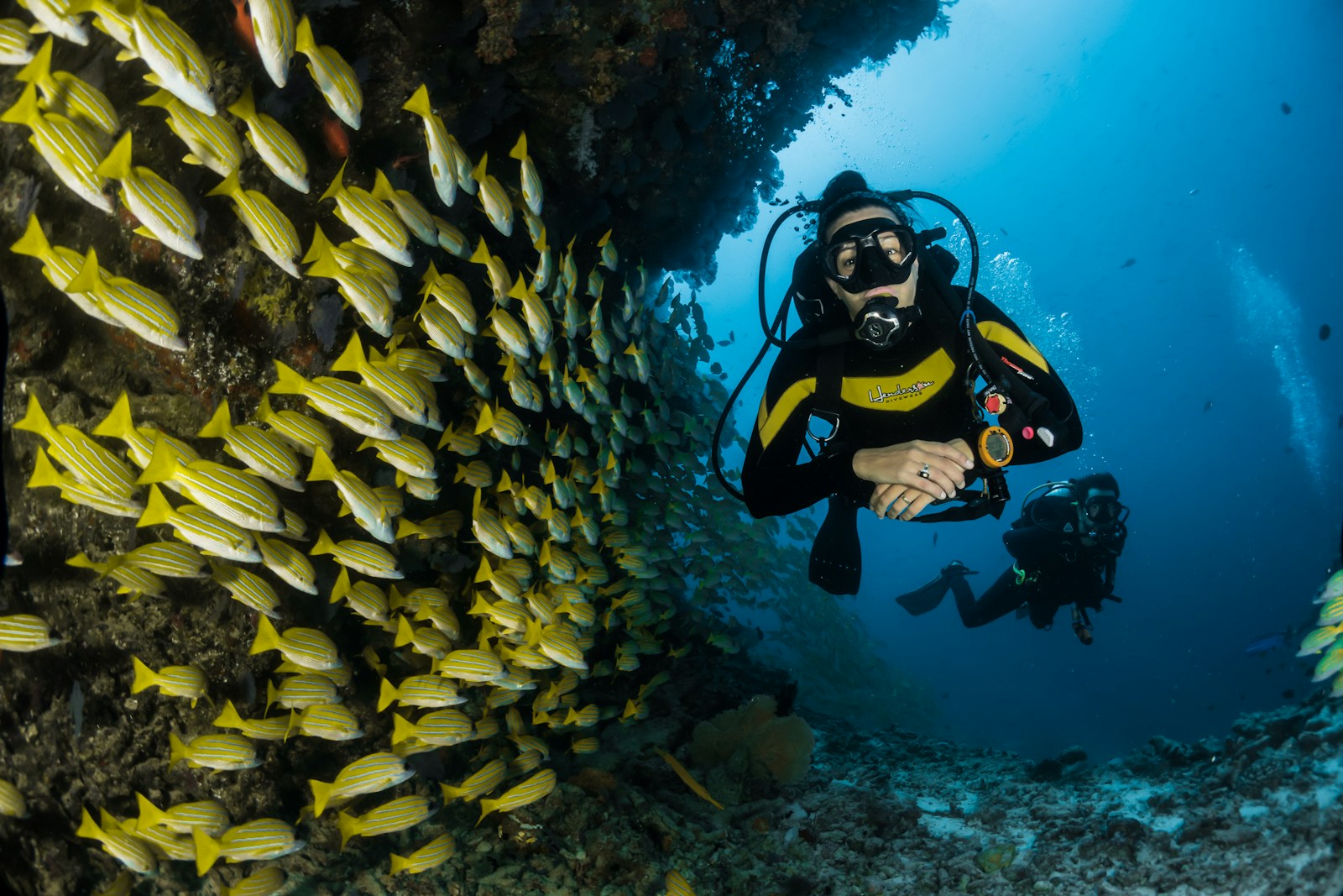 Ocean adventure