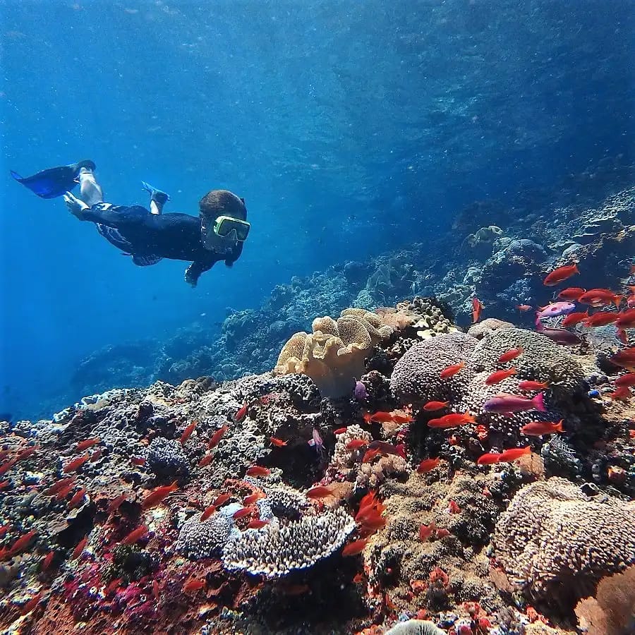 Snorkeling Trip — Nusa Penida
