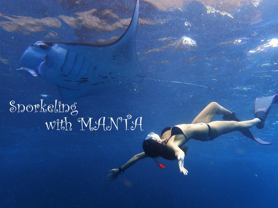 Snorkeling with manta rays in Nusa Penida